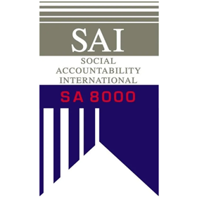 SA8000S